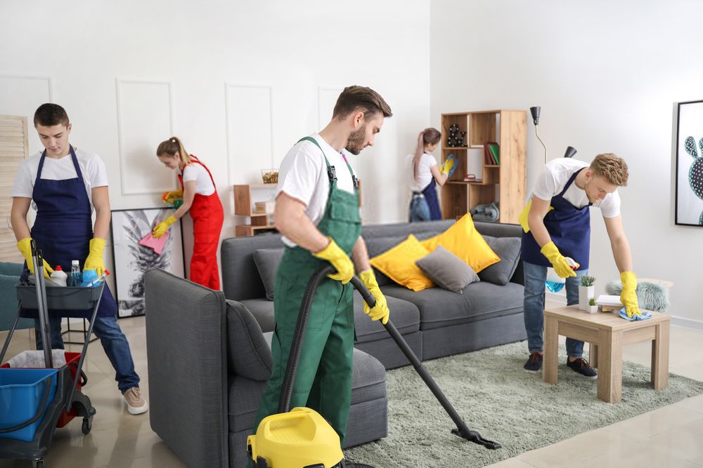 Professional Carpet Cleaning Bowie MD