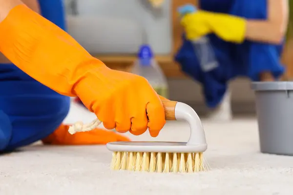 Carpet Cleaning Equipment